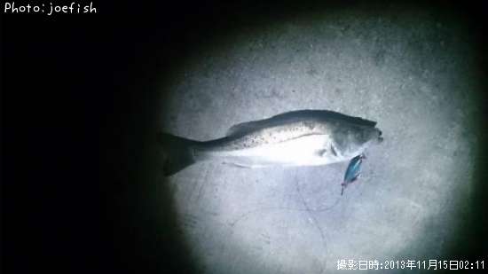 �����Х�