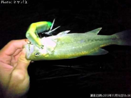 �֥�å��Х�