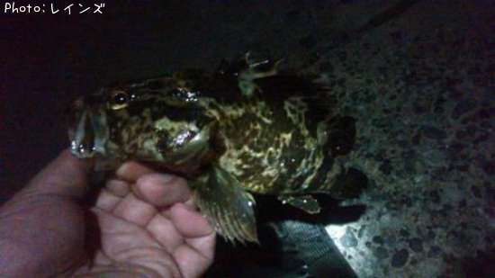 �������������Υ�