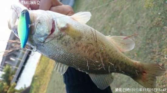 �֥�å��Х�