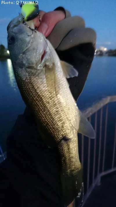 �֥�å��Х�