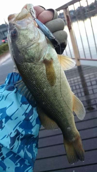 �֥�å��Х�