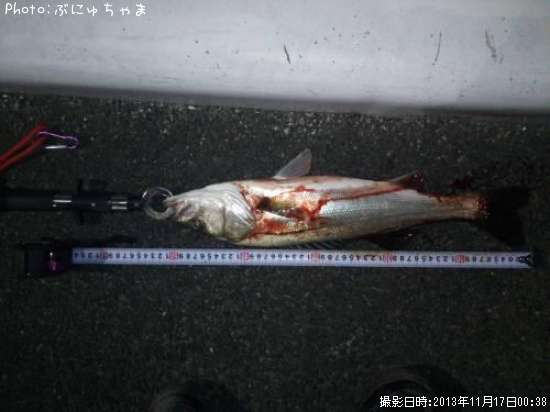 �����Х�