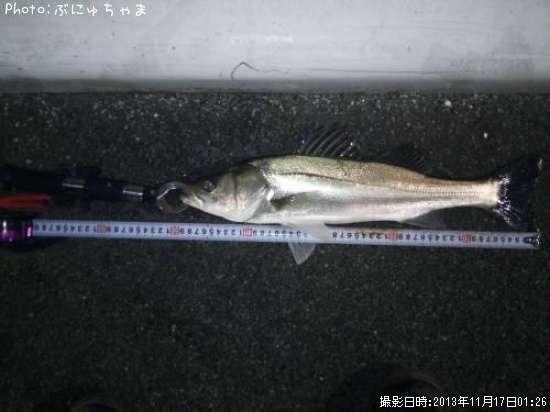 �ҥ����Х�