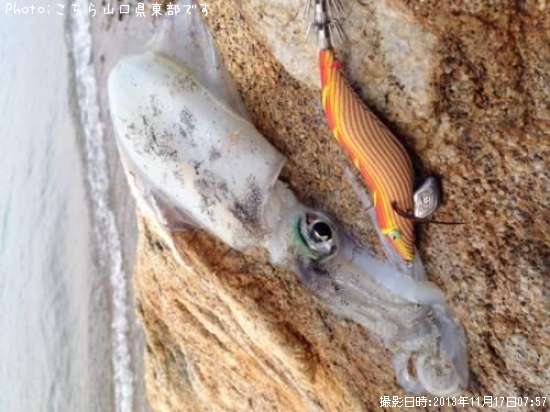 �����ꥤ��