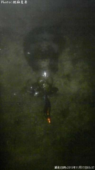 �����ꥤ��