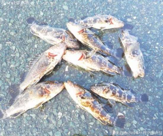 �����Υ���Х�