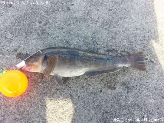 �����ʥ�