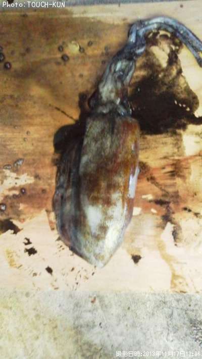 �����ꥤ��