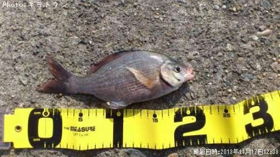 ���ߤ��ʤ�