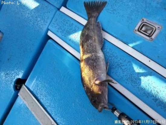 �����ʥ�