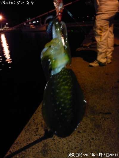 �����ꥤ��