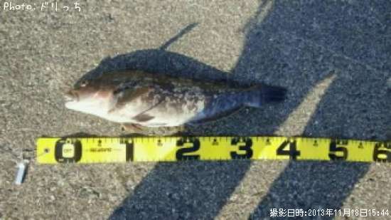 �����ʥ�