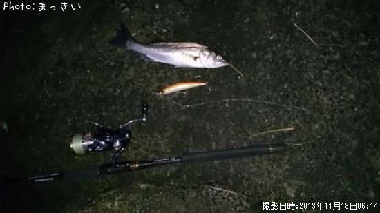 �����Х��ʾС�