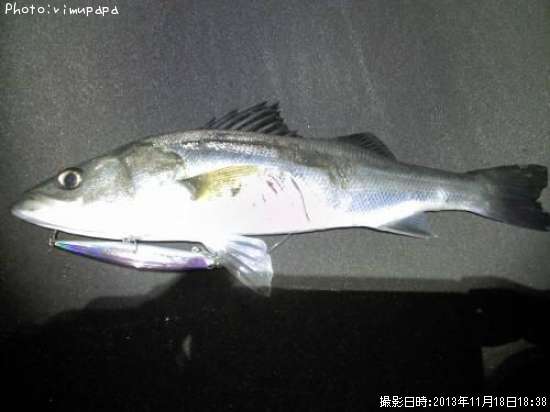 �����Х�