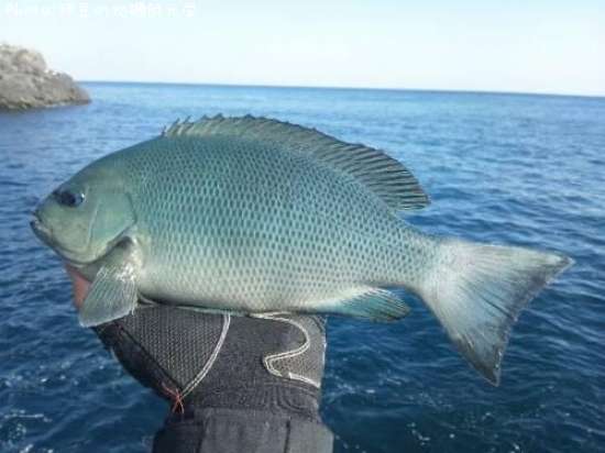 �����᥸��