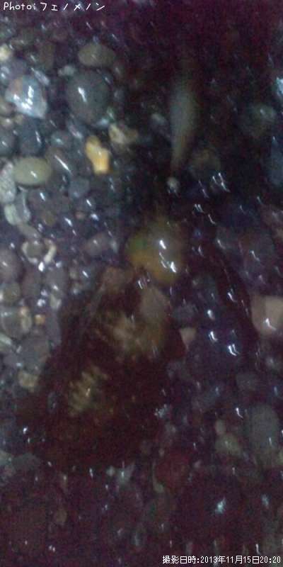 �����ꥤ��