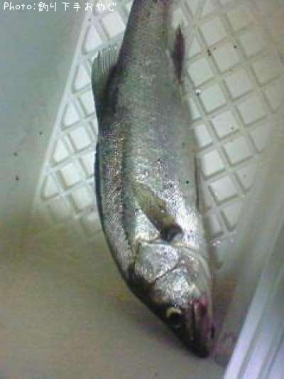 �����Х�