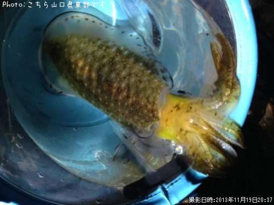 �����ꥤ��