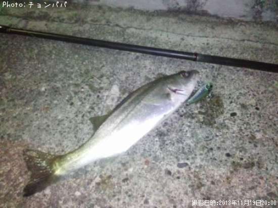 �����Х��ʥ����Х���