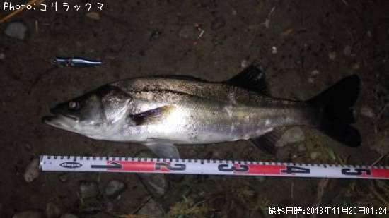 �����Х�