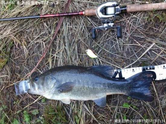 �֥�å��Х�