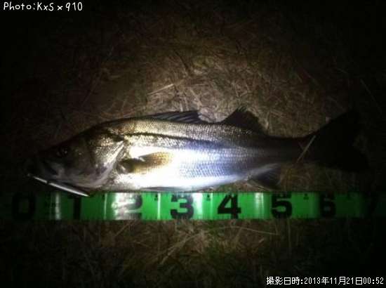 �����Х�