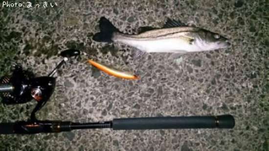 �����Х��ʾС�