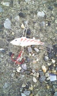 �����󥰥�å�