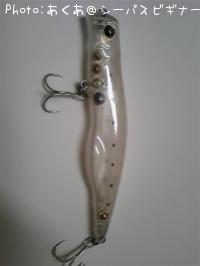 �ʥ��ȥ쥤�ɣ�������  16