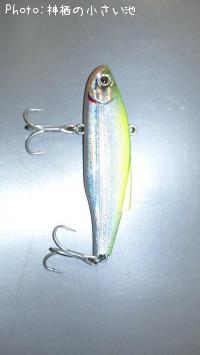 ���َĎʎގ��̎�RR-S