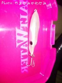 �����å�