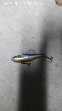 �����ޡ��ɥե���65