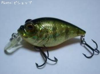 SR-X����ե���