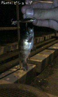 �����󥰥�å�