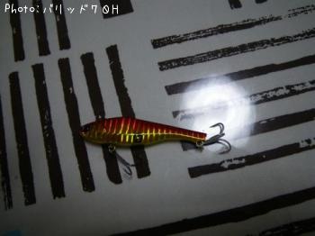 �Х�åɣ���H