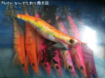 ������ѥ�����