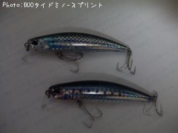 DUO�����ɥߥΡݥ��ץ���