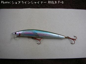 ���祢�饤�󥷥㥤�ʡ� R50LD F-G