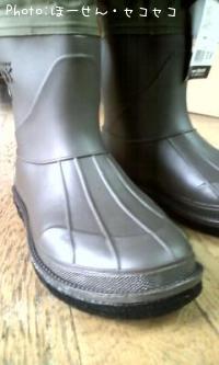 ���������֡��� �ʥե�������