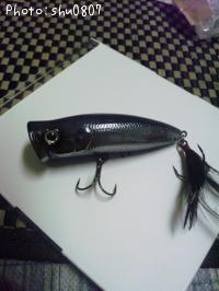 �ѥ륹���å�