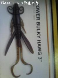POWER BULKY HAWG 3��