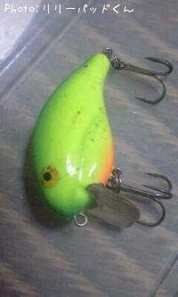 �եåȥ롼����