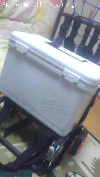 �Ύ؎Îގ��׎ݎĎގ����׎�17L