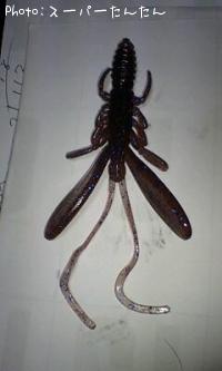 �Х�����ġ���inch