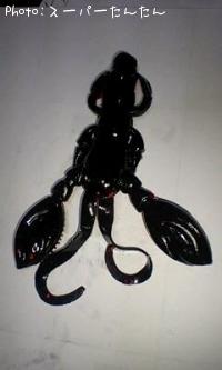 ���å�������