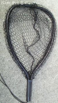 ���ǥ��󥰥ͥå�