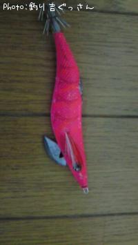 �����꡼Q������