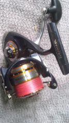 10����ơ���2500R