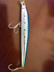 �ϡ��ɥ����ߥΡ�110F